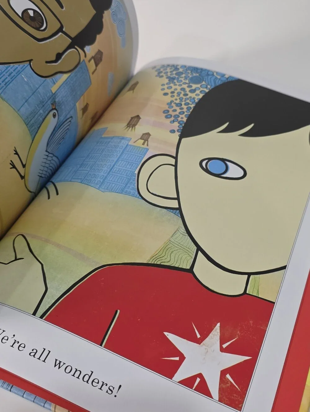 We’re All Wonders Hardcover Book
